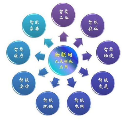 萬(wàn)物互聯(lián)的智慧世界 解析物聯(lián)網(wǎng)領(lǐng)域、最新動(dòng)態(tài)及其技術(shù)服務(wù)